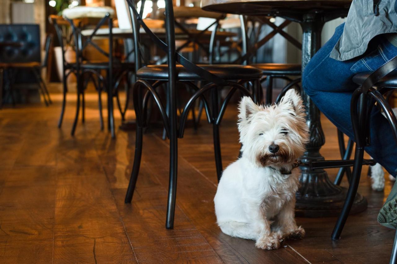The Seaburn Inn - The Inn Collection Group Sunderland  Ngoại thất bức ảnh